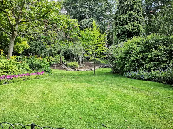 Lush backyard lawn framed by trees and flowering beds
