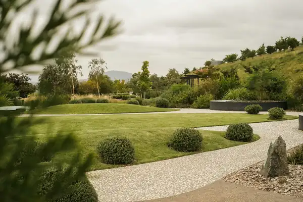 Landscaped yard with shaped shrubs, lawn and a gravel path