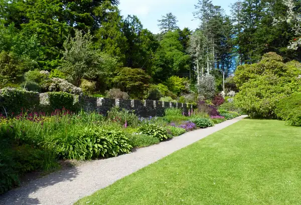 Neat garden path with a crisp lawn edge