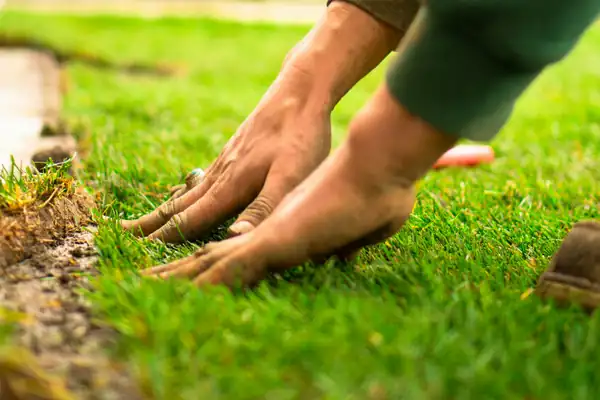 Landscaper pressing fresh sod into place by hand