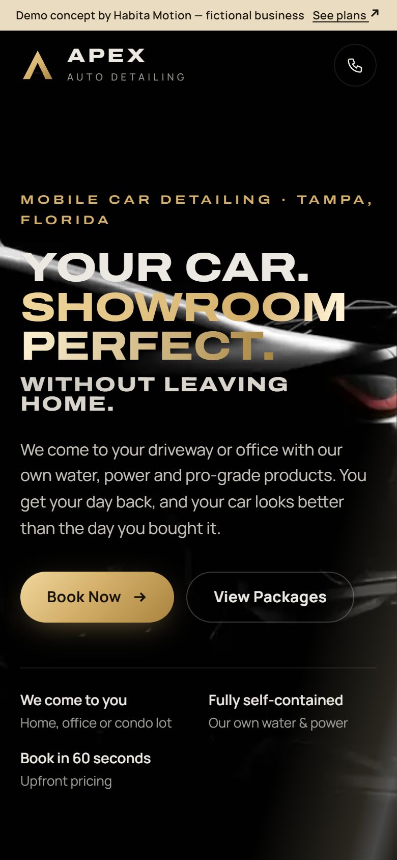 The Apex Auto Detailing demo concept on a phone